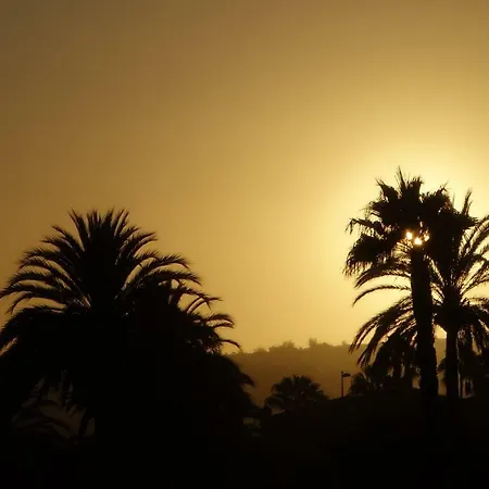 Taidia Sunset View