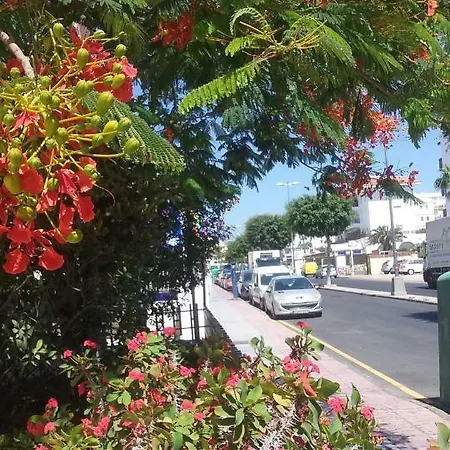 Taidia Sunset View Διαμέρισμα