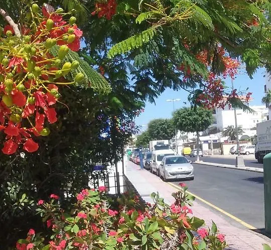 Taidia Sunset View Apartment